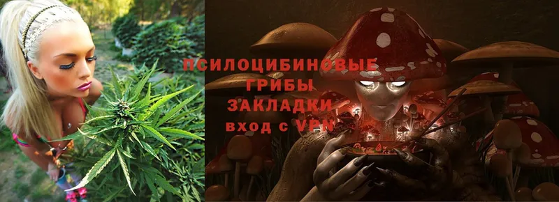 Галлюциногенные грибы Cubensis  купить закладку  Рузаевка 